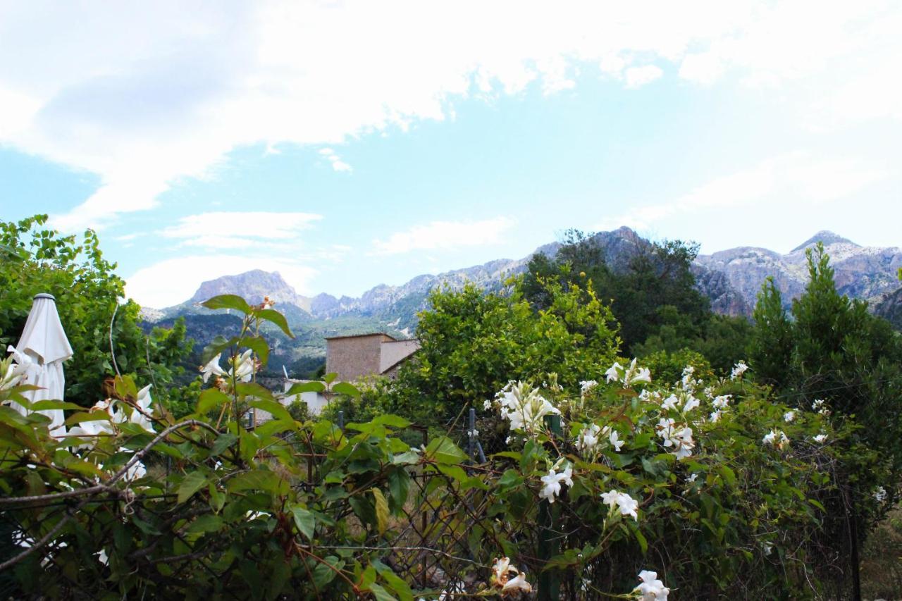 Ferienhaus Can Toni De S'hort Sóller
