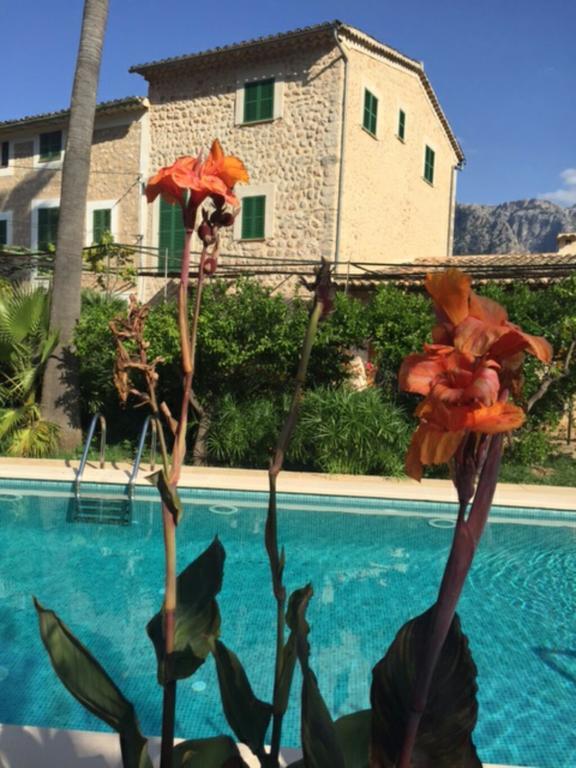 Can Toni De S'hort Ferienhaus